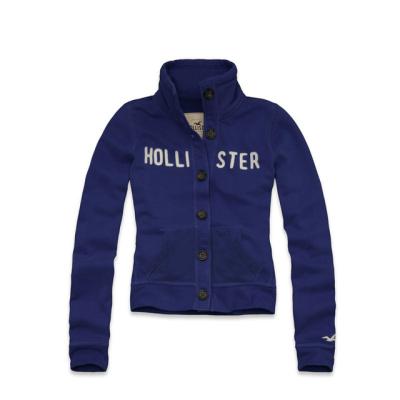 Hollister Women Hoodies-41